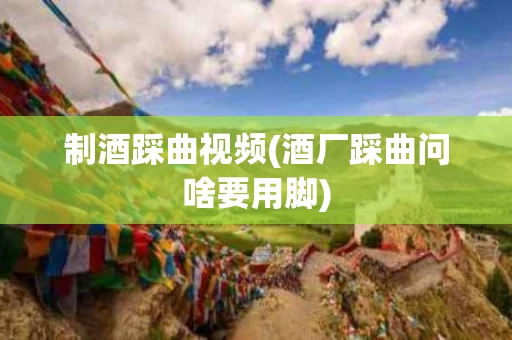 制酒踩曲视频(酒厂踩曲问啥要用脚)