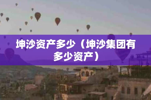 坤沙资产多少（坤沙集团有多少资产）