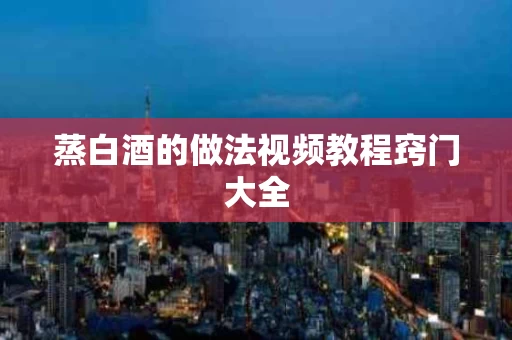 蒸白酒的做法视频教程窍门大全