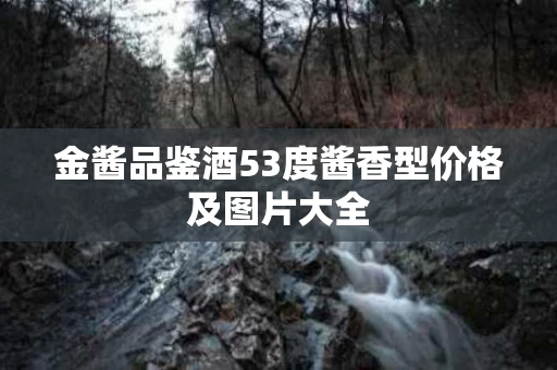 金酱品鉴酒53度酱香型价格及图片大全
