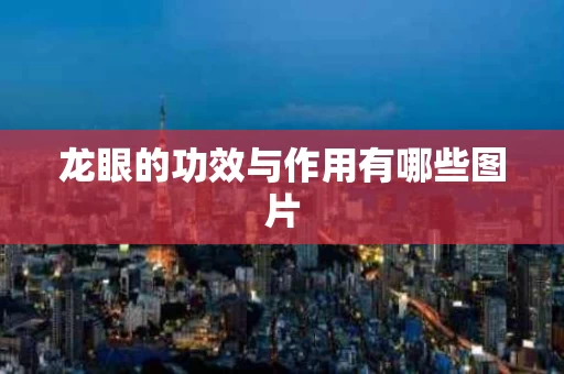 龙眼的功效与作用有哪些图片