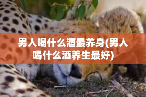 男人喝什么酒最养身(男人喝什么酒养生最好)