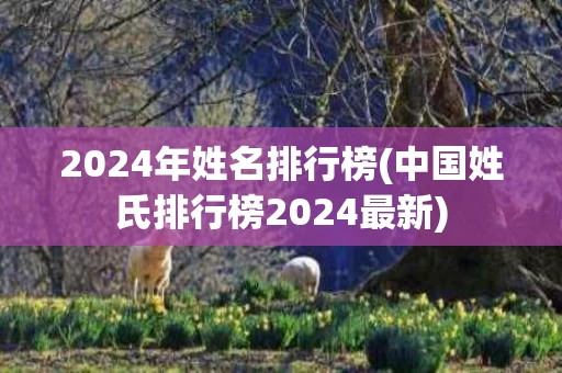 2024年姓名排行榜(中国姓氏排行榜2024最新)