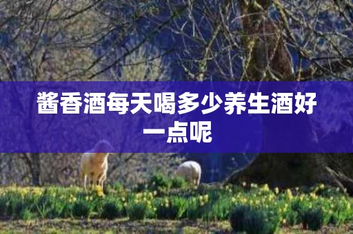酱香酒每天喝多少养生酒好一点呢 酱香酒每天喝多少养生酒好一点呢