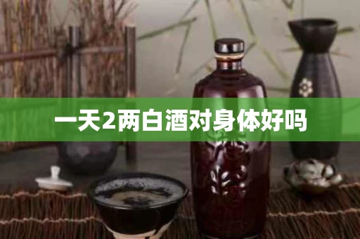 一天2两白酒对身体好吗