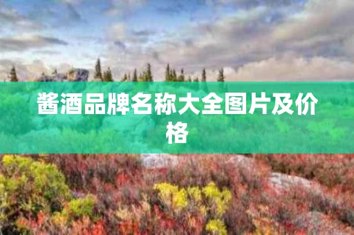 酱酒品牌名称大全图片及价格