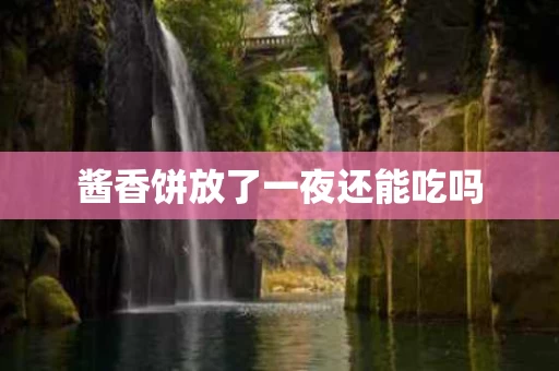 酱香饼放了一夜还能吃吗
