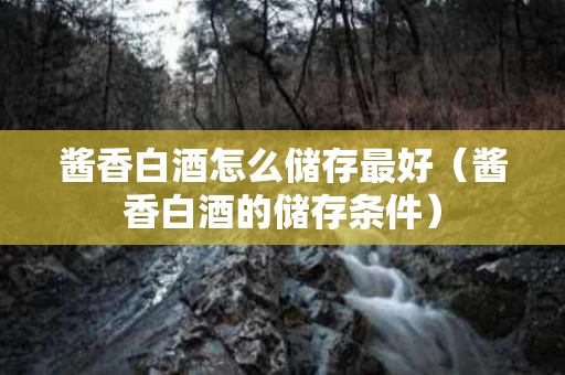 酱香白酒怎么储存最好（酱香白酒的储存条件）