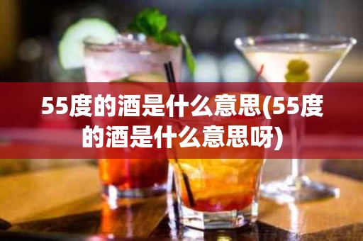 55度的酒是什么意思(55度的酒是什么意思呀)