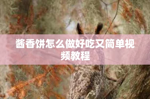 酱香饼怎么做好吃又简单视频教程