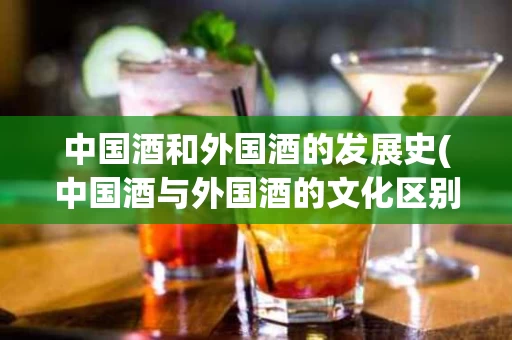 中国酒和外国酒的发展史(中国酒与外国酒的文化区别)