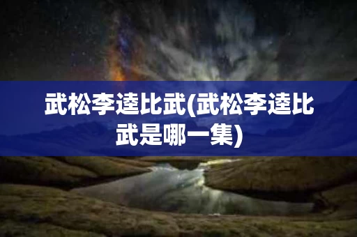 武松李逵比武(武松李逵比武是哪一集)