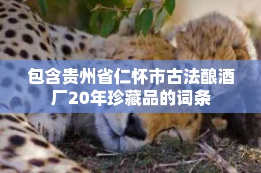 包含贵州省仁怀市古法酿酒厂20年珍藏品的词条