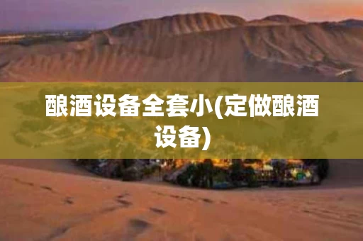 酿酒设备全套小(定做酿酒设备)