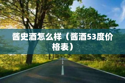 酱史酒怎么样（酱酒53度价格表）
