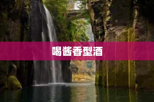 喝酱香型酒