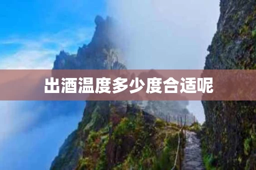 出酒温度多少度合适呢