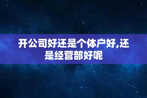 开公司好还是个体户好,还是经营部好呢