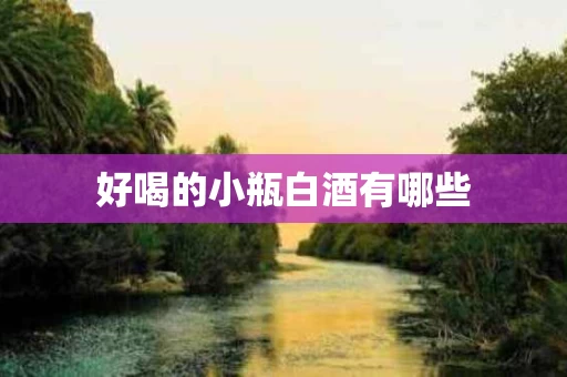 好喝的小瓶白酒有哪些