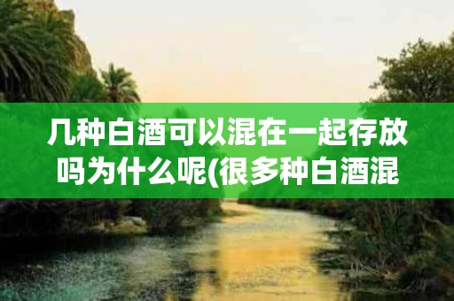 几种白酒可以混在一起存放吗为什么呢(很多种白酒混一起可以喝吗)