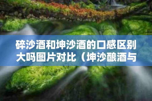 碎沙酒和坤沙酒的口感区别大吗图片对比（坤沙酿酒与碎沙酿酒的区别）