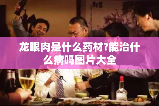 龙眼肉是什么药材?能治什么病吗图片大全