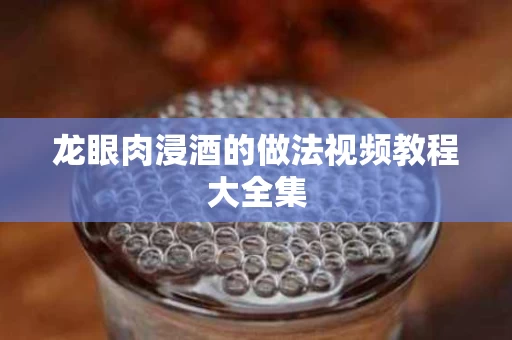 龙眼肉浸酒的做法视频教程大全集