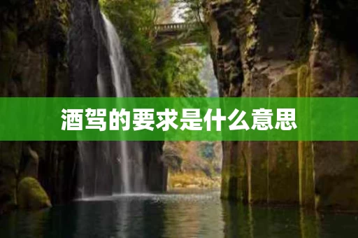酒驾的要求是什么意思