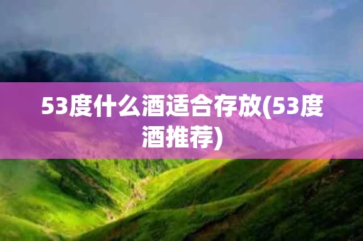 53度什么酒适合存放(53度酒推荐)