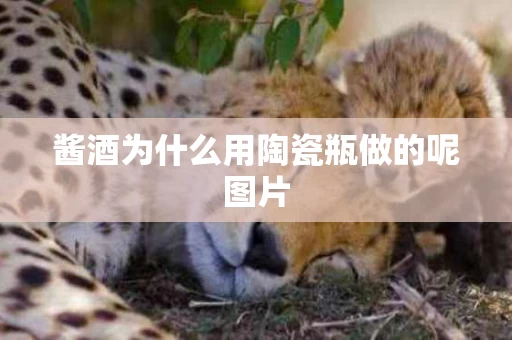 酱酒为什么用陶瓷瓶做的呢图片
