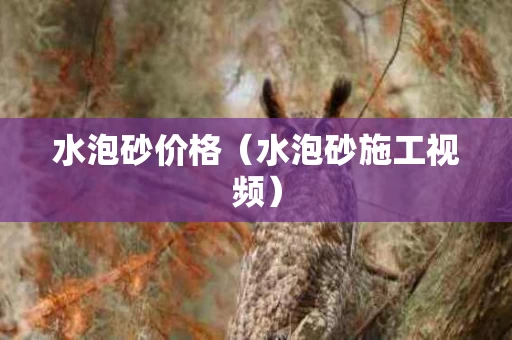 水泡砂价格（水泡砂施工视频）
