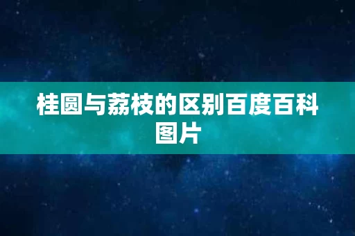 桂圆与荔枝的区别百度百科图片