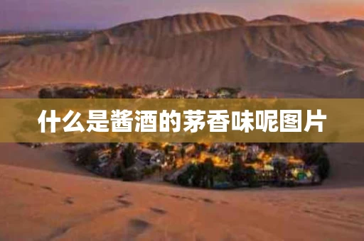 什么是酱酒的茅香味呢图片 什么是酱酒的茅香味呢图片