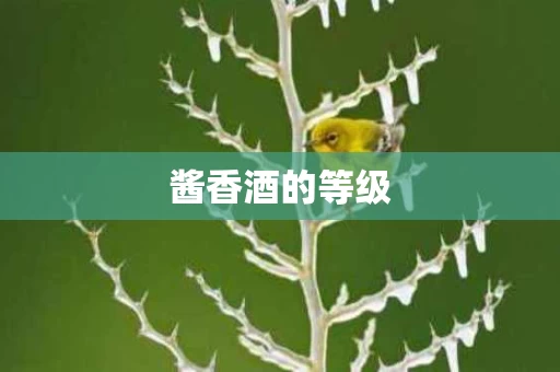 酱香酒的等级