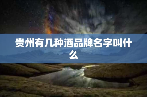 贵州有几种酒品牌名字叫什么