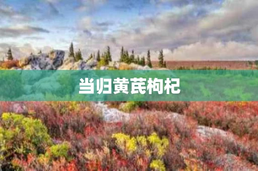 当归黄芪枸杞