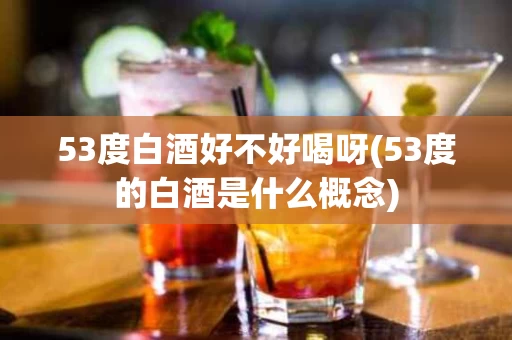 53度白酒好不好喝呀(53度的白酒是什么概念)