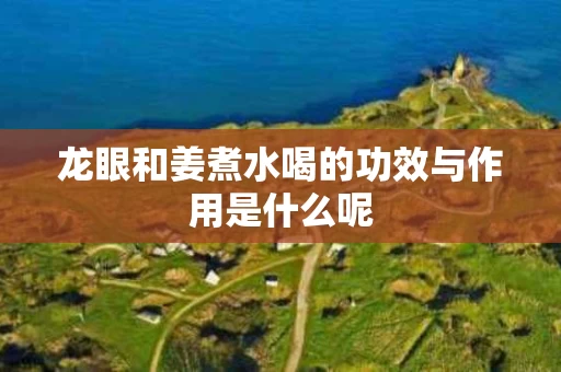 龙眼和姜煮水喝的功效与作用是什么呢
