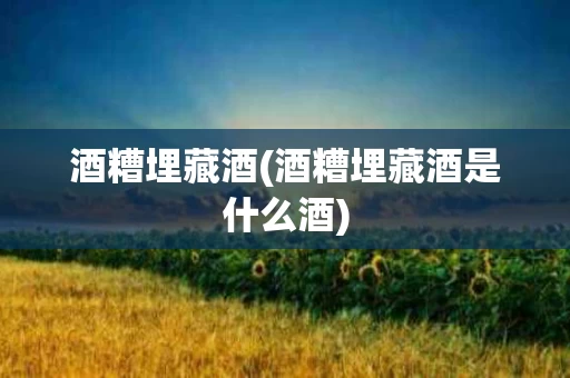 酒糟埋藏酒(酒糟埋藏酒是什么酒)