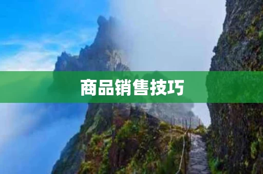 商品销售技巧