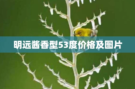 明远酱香型53度价格及图片