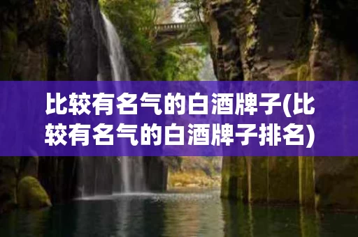 比较有名气的白酒牌子(比较有名气的白酒牌子排名)