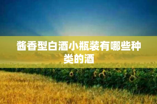 酱香型白酒小瓶装有哪些种类的酒