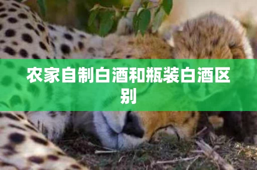 农家自制白酒和瓶装白酒区别