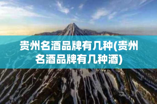 贵州名酒品牌有几种(贵州名酒品牌有几种酒)