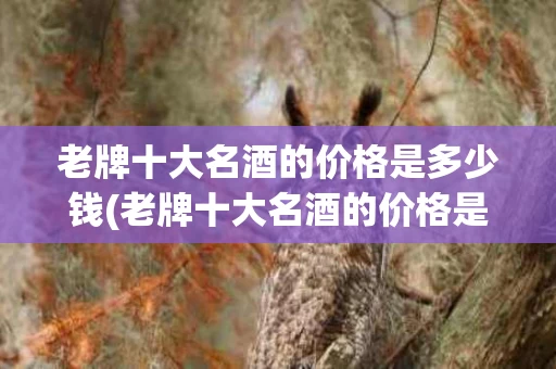 老牌十大名酒的价格是多少钱(老牌十大名酒的价格是多少钱啊)
