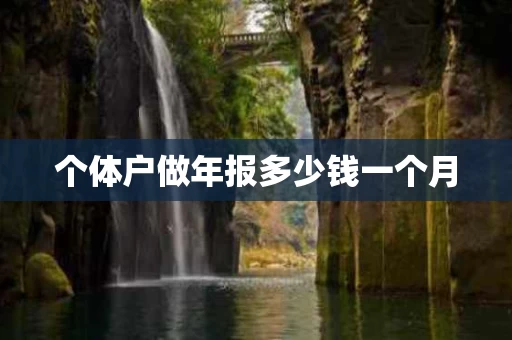 个体户做年报多少钱一个月