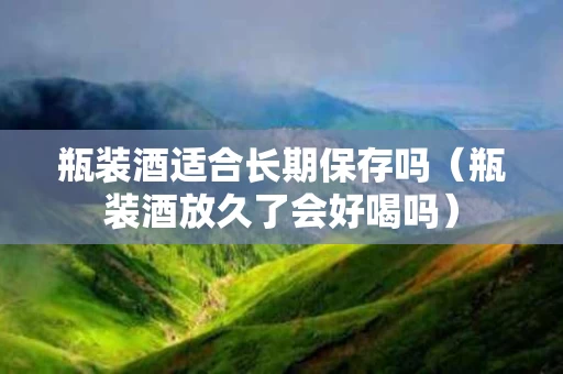 瓶装酒适合长期保存吗（瓶装酒放久了会好喝吗）