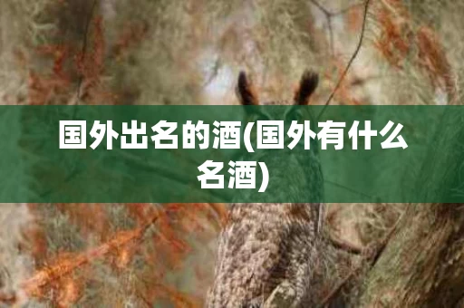 国外出名的酒(国外有什么名酒)