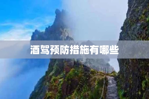 酒驾预防措施有哪些